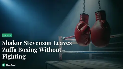 Shakur Stevenson says he has been granted release from Zuffa Boxing after three months (illustration)