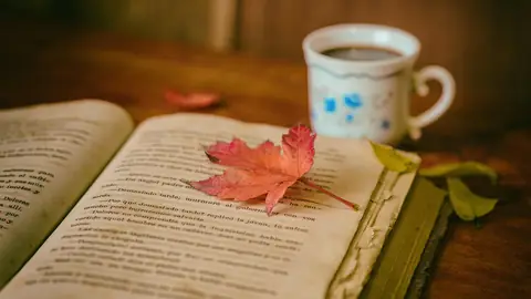 Photo: leaves, coffee, cup