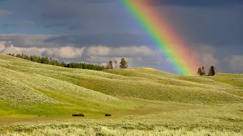Photo: rainbow, hills, meadows