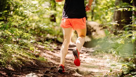 Photo: trail, running, forest